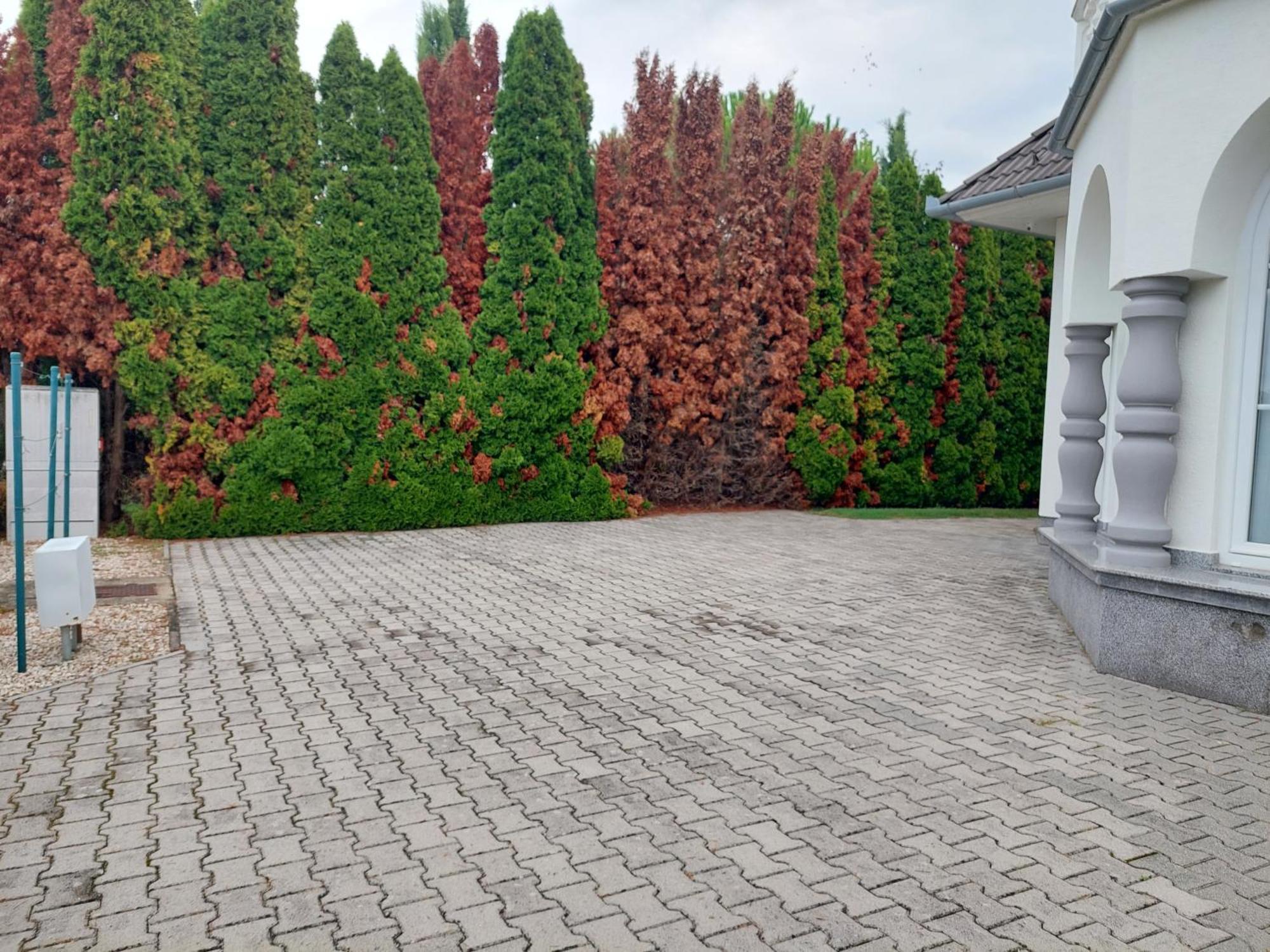 Feher Haz Appartement